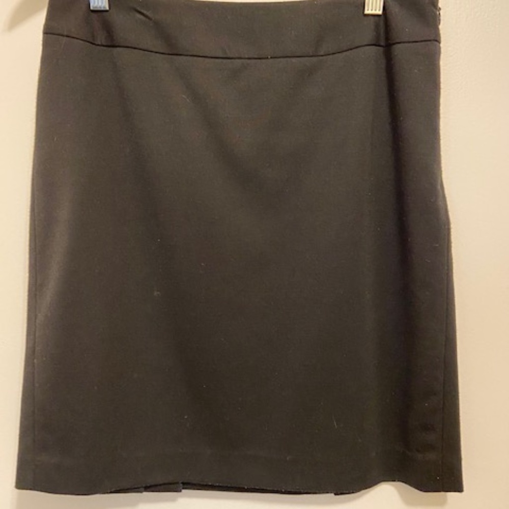 Ann Taylor Skirt